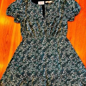 Ann Taylor Loft Dress - new, with tags!